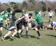 Locks Heath Pumas purr to season finale Locks Heath Pumas purr to season finale