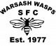 Warsash Wasps annual open day
