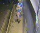 Police release CCTV of witnesses to assault of Locks Heath man